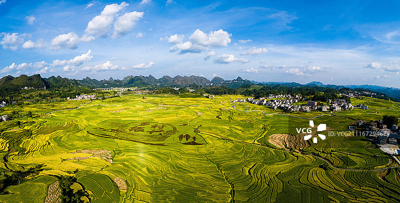 在希望的田野上图片素材