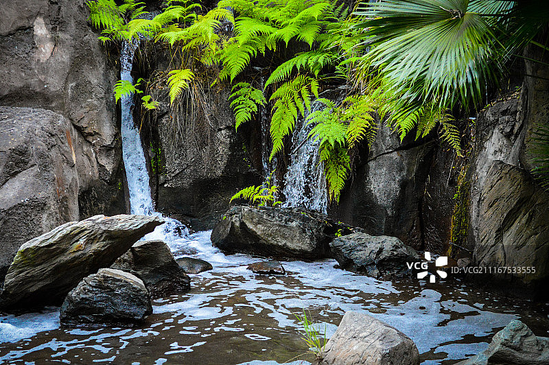 迪士尼图片素材