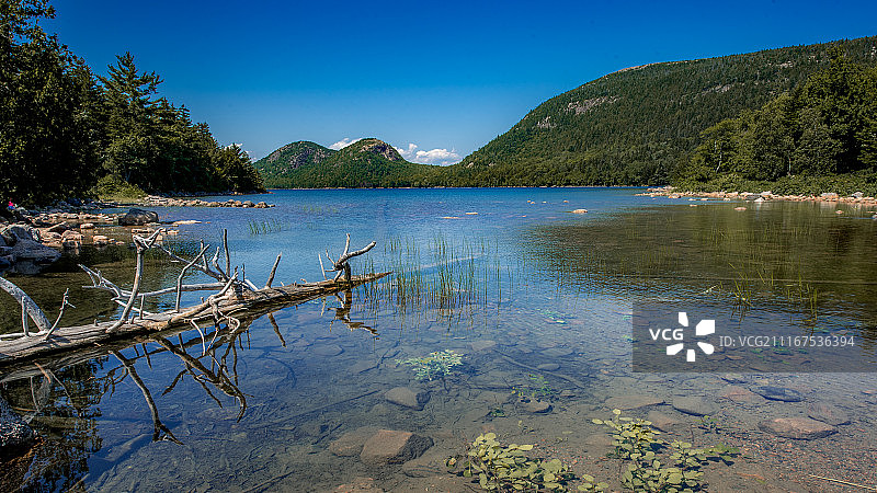阿卡迪亚国家公园约旦池的夏季风光图片素材
