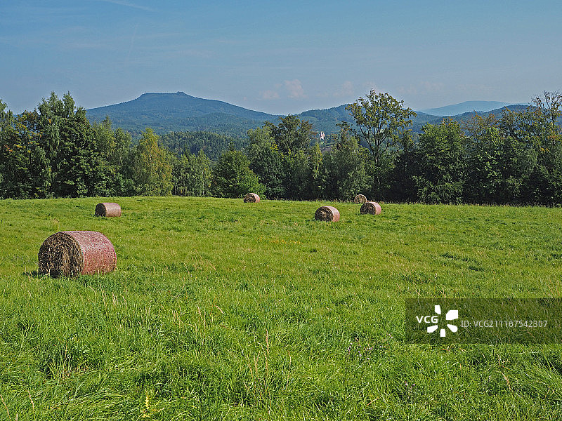 绿色草地上的麦秸捆，有树、山丘和蓝天图片素材
