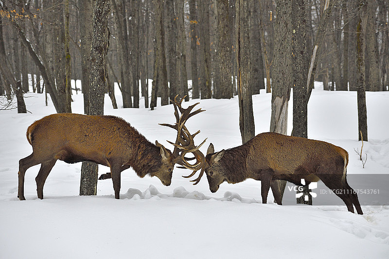 美好的星期六夜晚图片素材