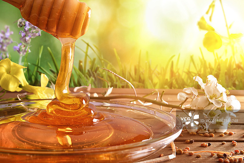 阳光下蜂蜜滴入玻璃盘图片素材