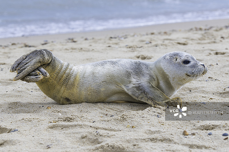 在海滩上放松图片素材