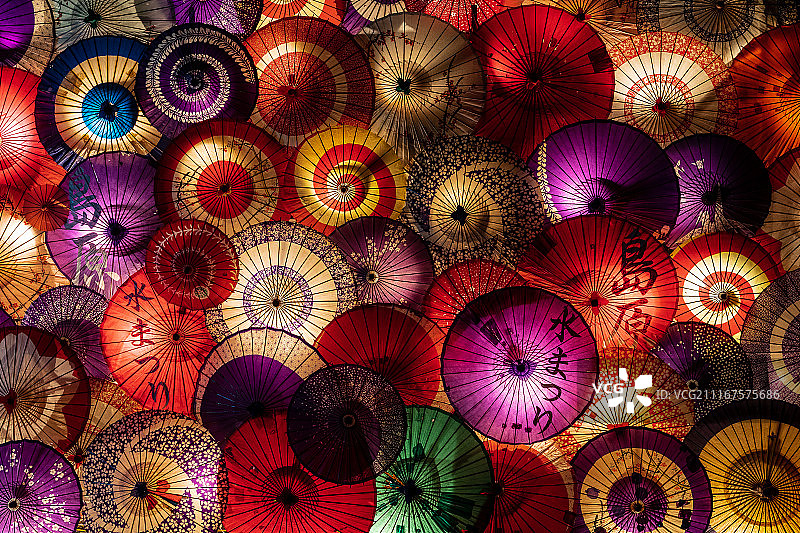 岛原水节图片素材