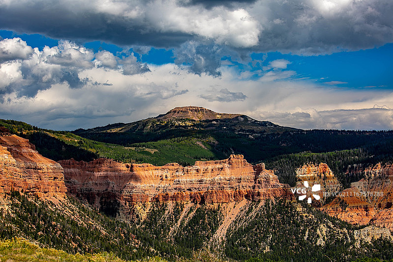 雪松打破国家纪念碑图片素材