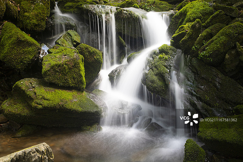 苔藓山谷中的小瀑布图片素材