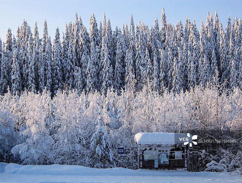 您可以在这里停车图片素材