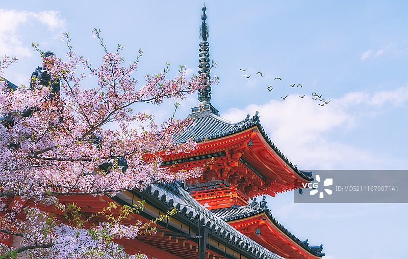 春日京都图片素材