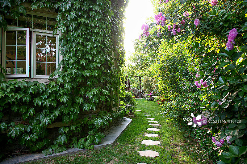 别墅庭院图片素材