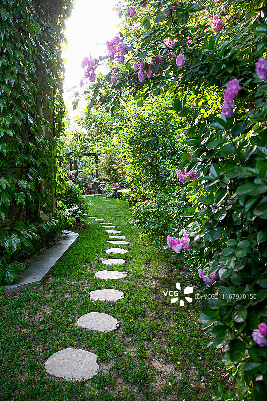 别墅庭院图片素材