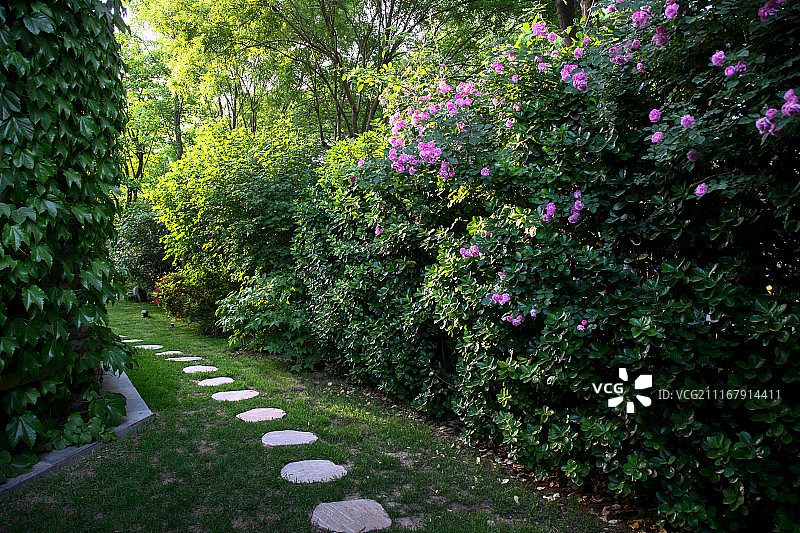 别墅庭院图片素材