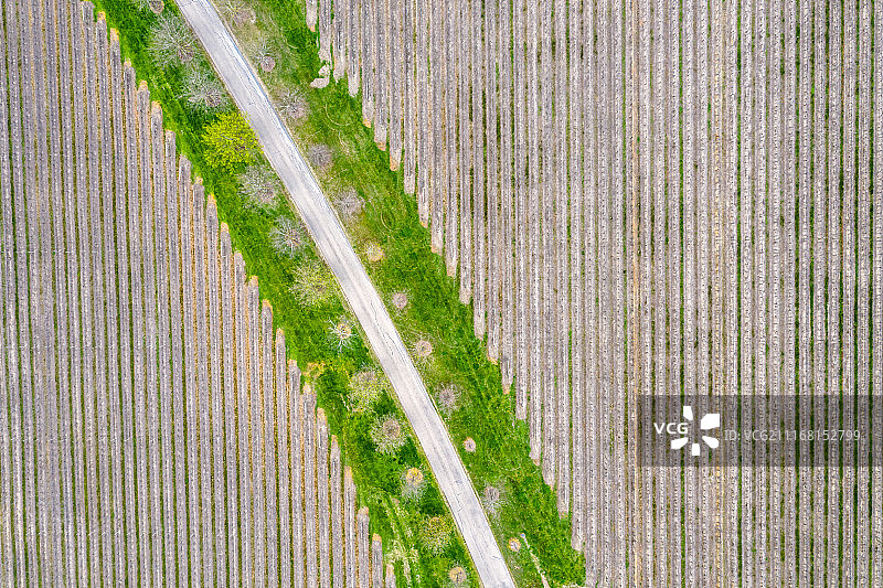 澳大利亚葡萄园航拍图片素材