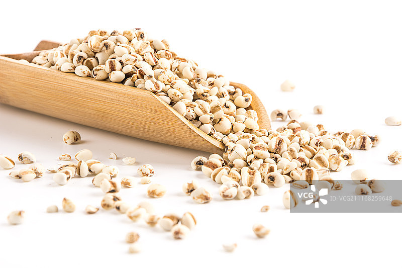 薏米仁图片素材