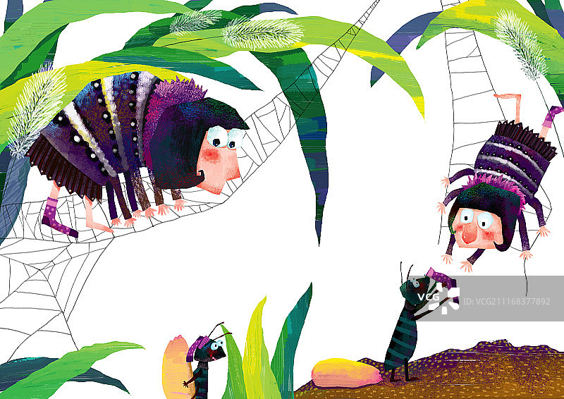 背景分离动物系列组图共3000多幅-蜘蛛系列图片素材