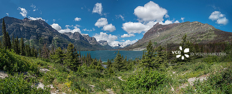 向阳之路图片素材