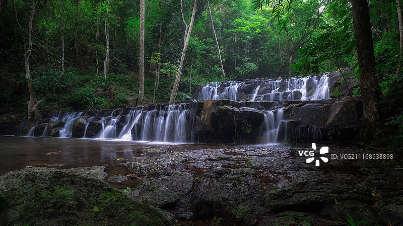 绿色植物图片素材