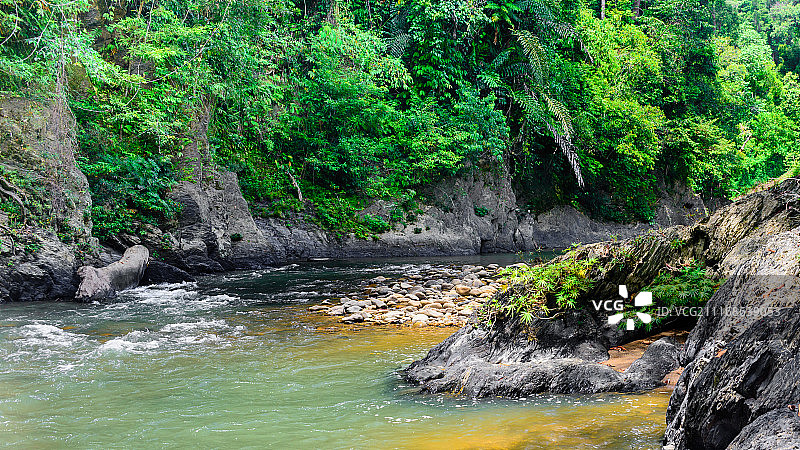 新鲜的图片素材