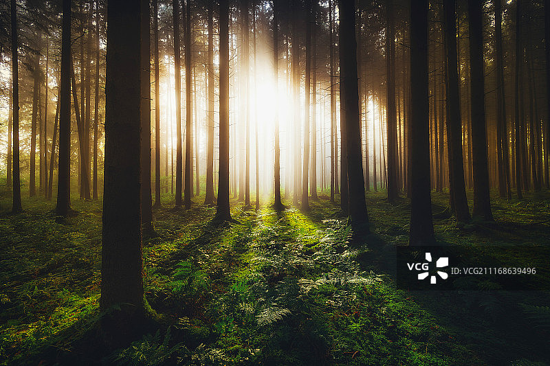 神圣之光图片素材