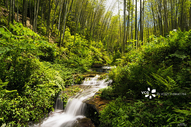 竹林瀑布溪流图片素材