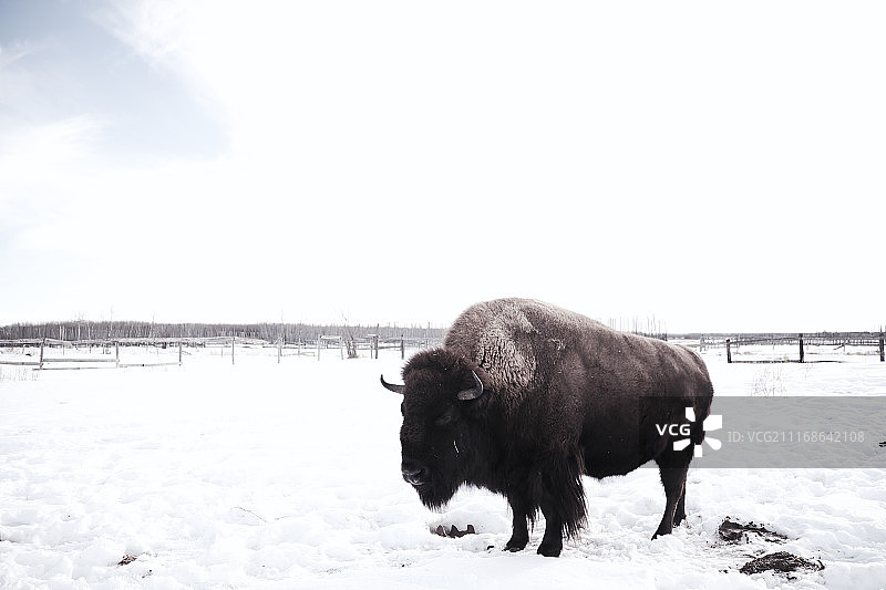 农场风光图片素材