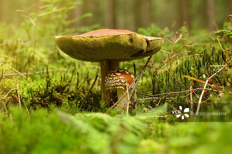 不合时宜的社会图片素材