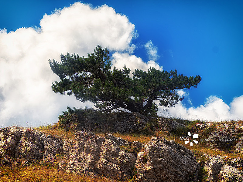 克里米亚图片素材