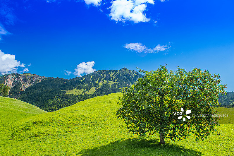 瑞士龙疆图片素材