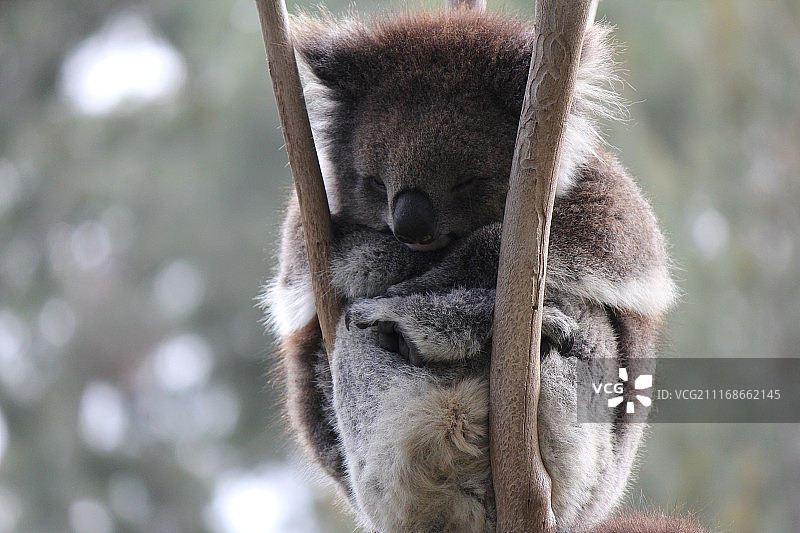 摄影图像图片素材