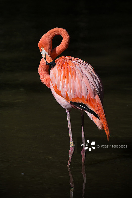 美容时间...图片素材