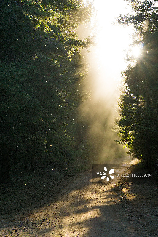 金色之路图片素材