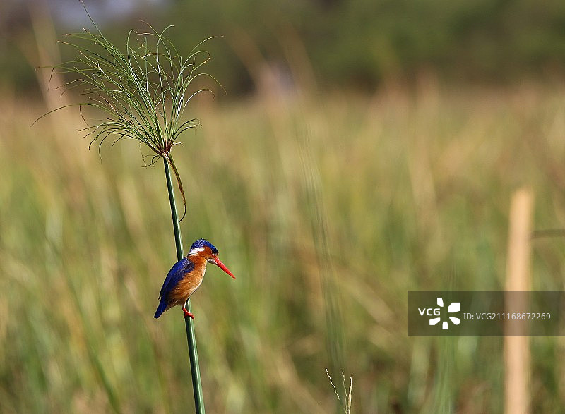 纳米比亚卡蒂马穆利洛图片素材