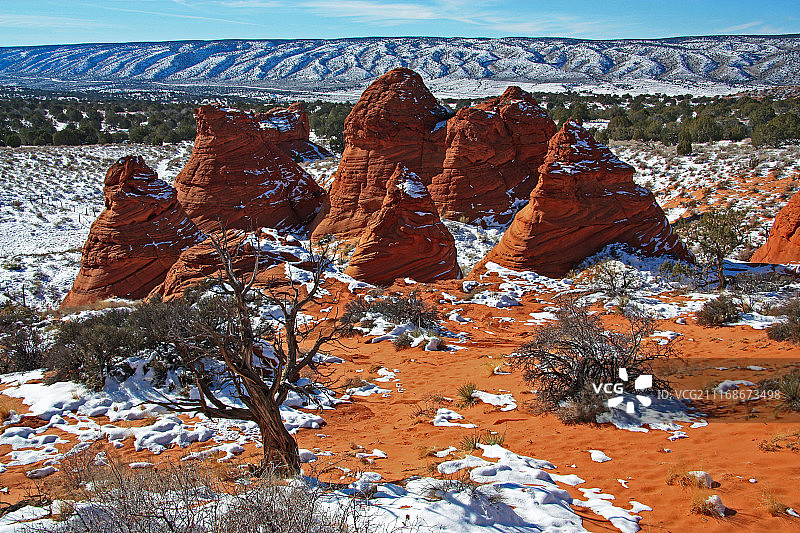 南郊狼丘图片素材