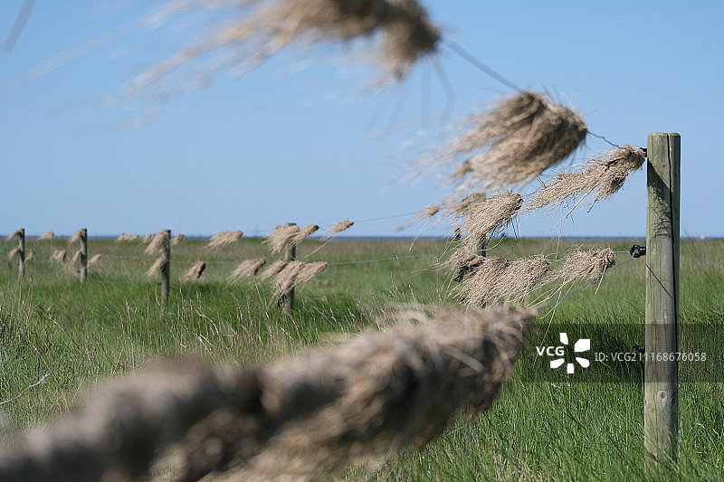 诺德海-拉梅塔图片素材