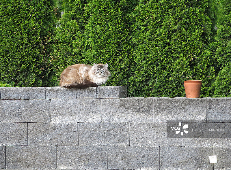 摄影师：Lyubov Belova / 500px图片素材