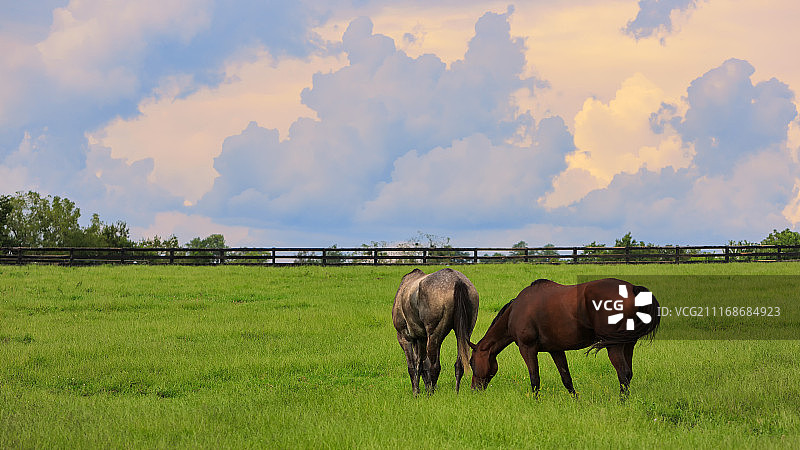 繁忙的下午图片素材