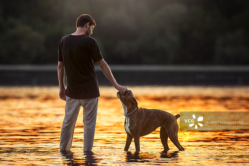金色的小时图片素材