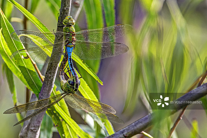 预定房间图片素材
