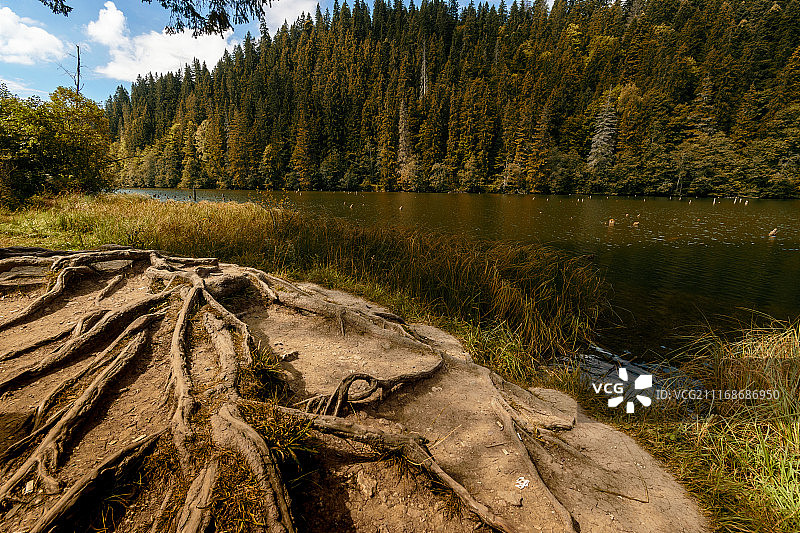 罗马尼亚红湖图片素材