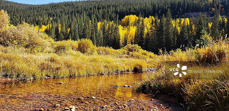 河流倒映着白杨树的金黄色图片素材