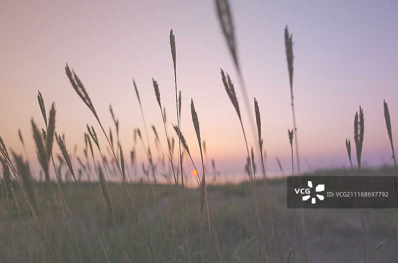 日落微风图片素材