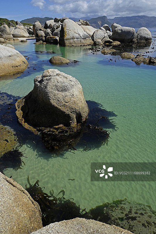 南非博尔德斯海滩图片素材