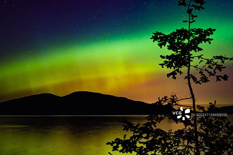 柏树岛极光图片素材