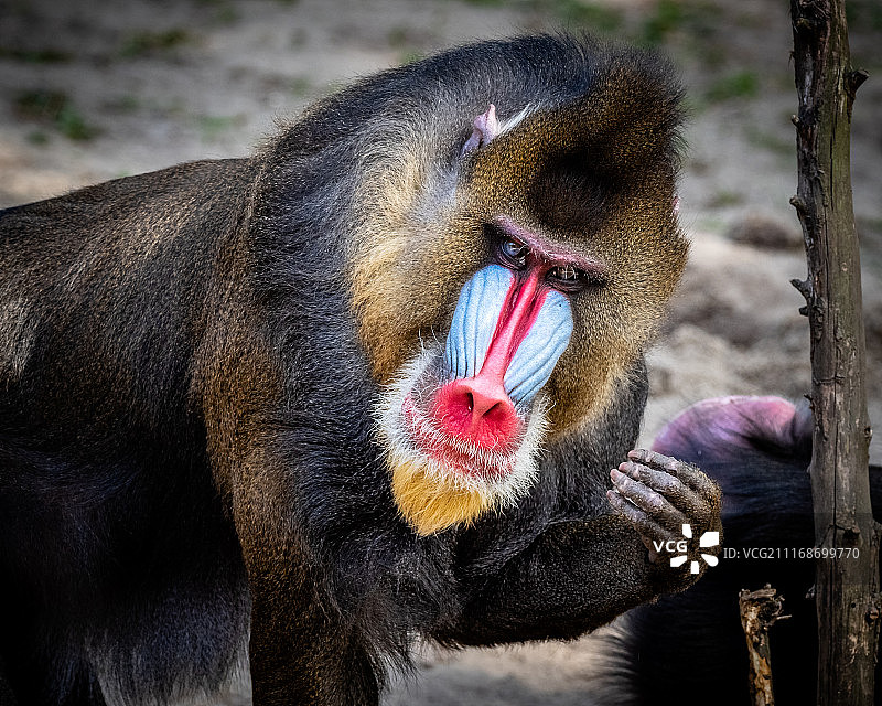 你想要什么?图片素材