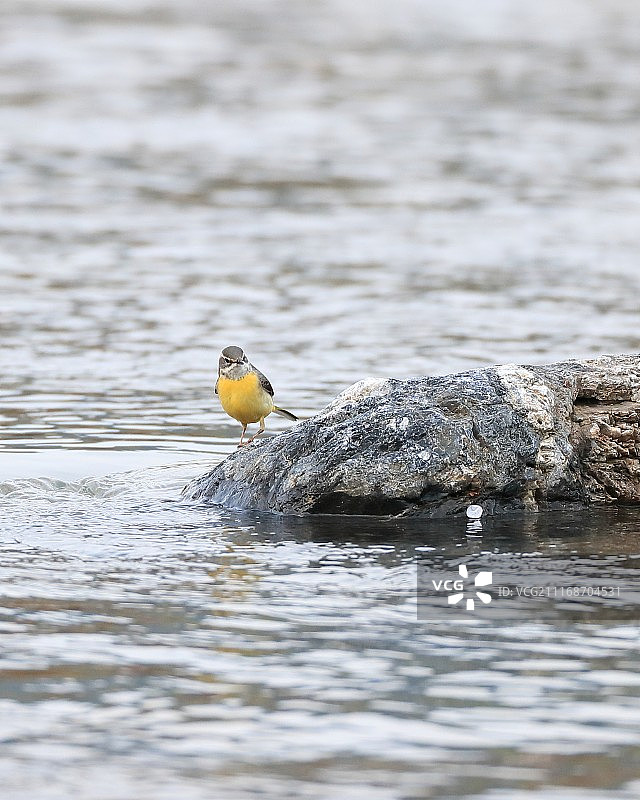 TERUJI NOBE摄影作品图片素材