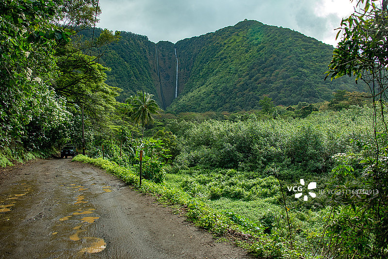 美国威美亚图片素材