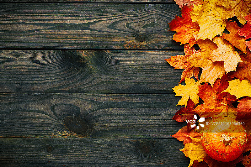 秋叶与南瓜，木质背景图片素材