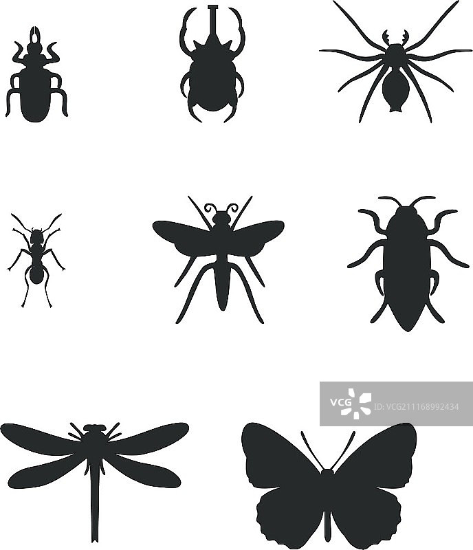 黑色昆虫图案 01图片素材