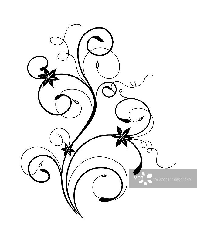 用于设计的花卉或元素插画矢量素材图片素材