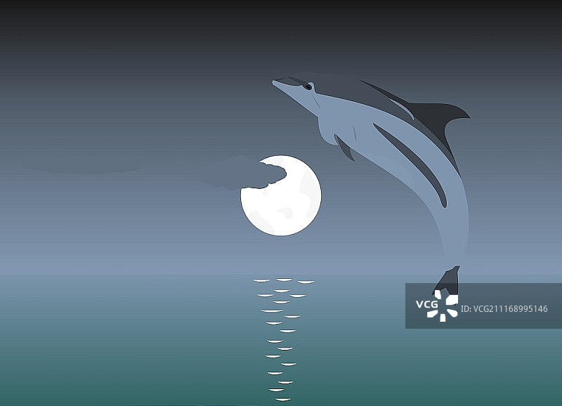 月光下跳跃海豚矢量插画图片素材