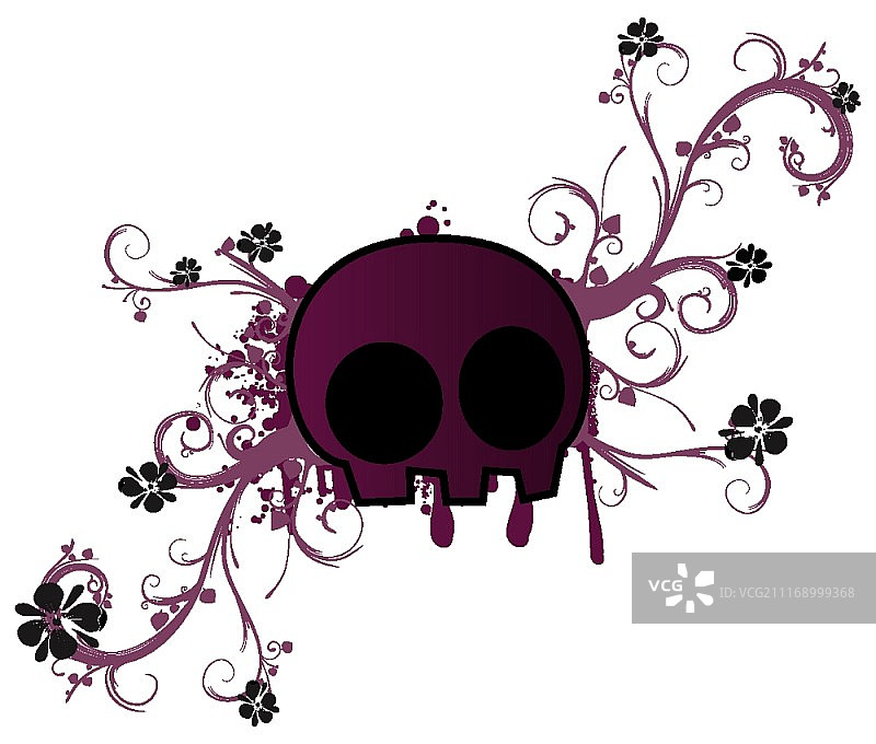 花卉框架图片素材